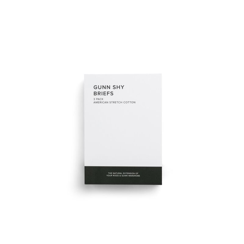 Rodd & Gunn Gunn Shy Brief 3 Pack image number 1
